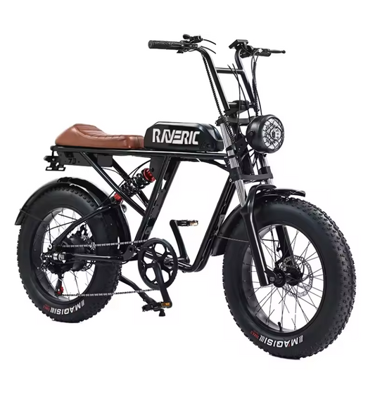 Electric Bike Fat Tire E-bike